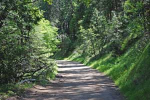 Mountain biking trail at Confidence