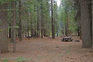 Meadowview Campground, Stanislaus National Forest, California
