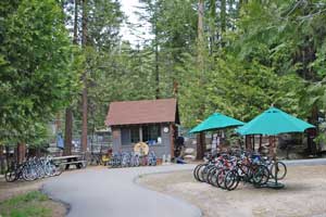 Photo of Pinecrest Lake bicycle rental  area