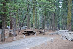 Photo of Pinecrest Campground, Stanislaus National Forest, California