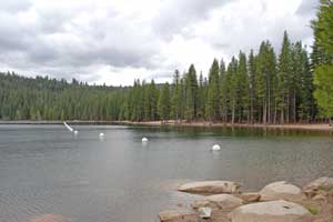 Pinecrest Lake swimming area