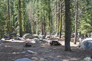 Sand Flat Campground on the Clark Fork