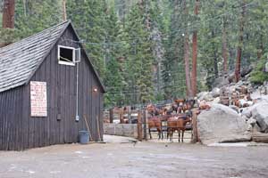 Photo of Kennedy Meadows Pack Station