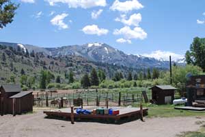 Leavitt Meadows Pack Station