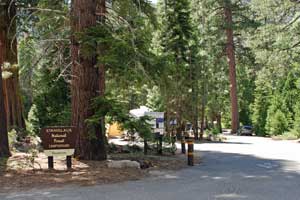 Deadman Campground, Stanislaus National Forest, California