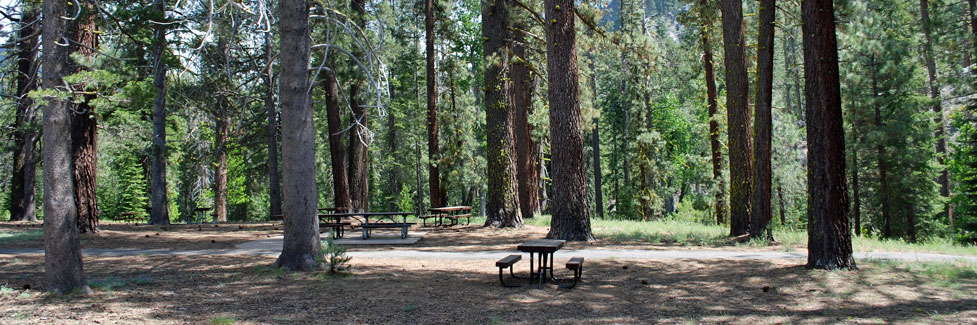 Douglas Picnic Area, Stanislaus National Forest, California