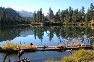 Photo of Roosevelt Lake