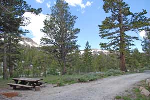 Sonora Pass picnic area