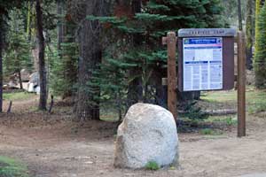 Crabtree Camp Trailhead