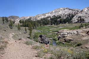 Lunch Meadow