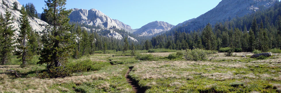 hiking trail, Emigrant Wilderness, California