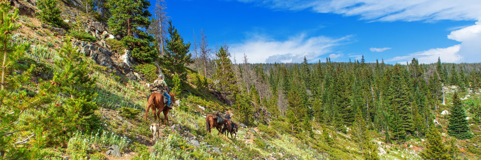 horseback riders on mountain trail