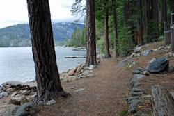 Pinecrest Lake trail
