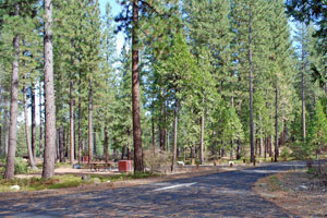 Photo of TeleLi puLaya Campground, Stanislaus National Forest, California